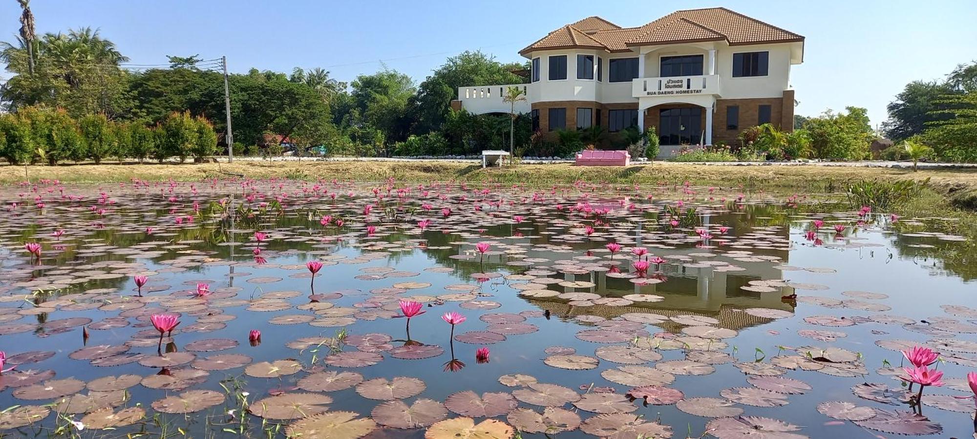 Bua Daeng Homestay Resort Kumphawapi Zewnętrze zdjęcie